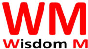 wisdommanufacture.com